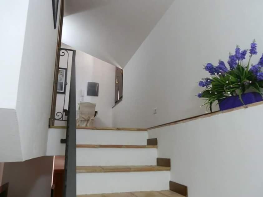 Agriturismo Ai Monaci Montano Antilia Exterior photo